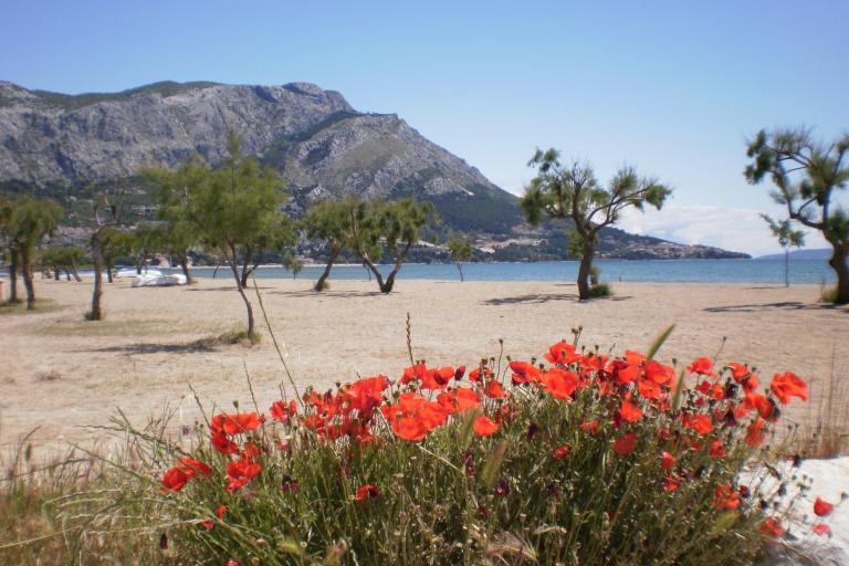 Appartementen Danka Čudić – foto 3