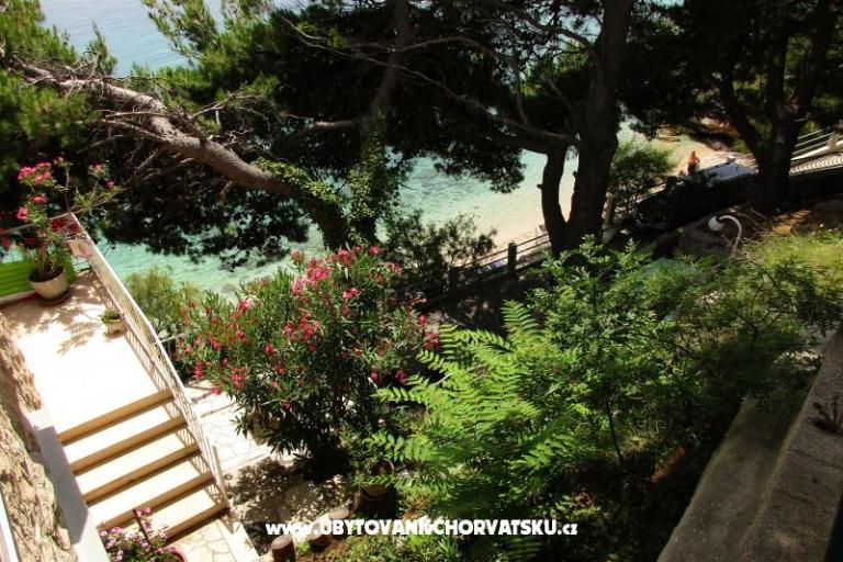 Appartementen Darka op het strand – foto 2