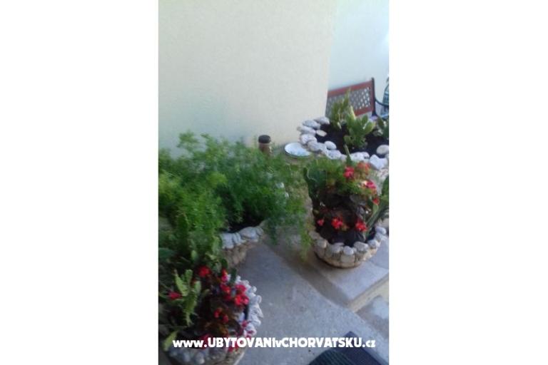 Appartementen Draga – foto 10