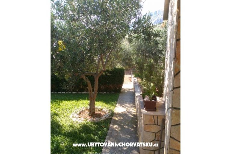 Appartementen Draga – foto 7