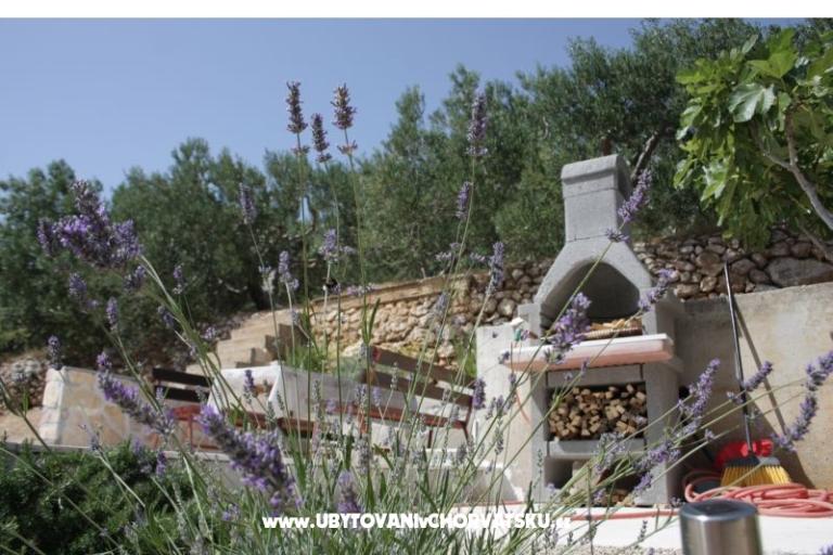 Appartementen Dragana – foto 10