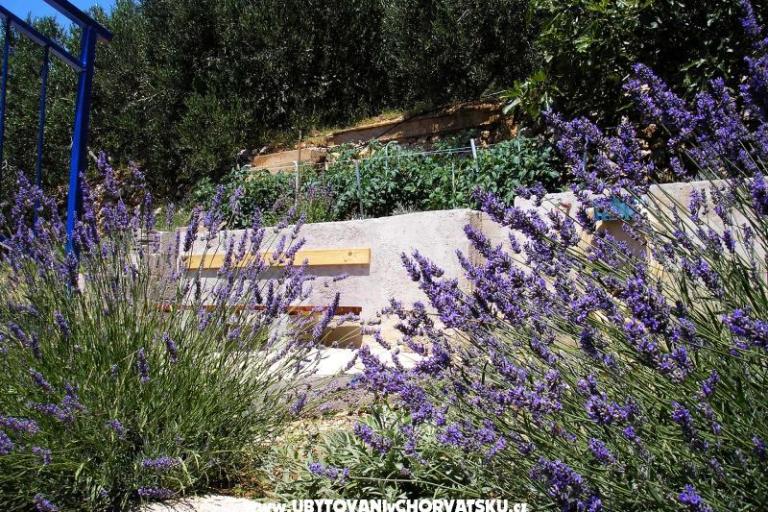 Appartementen Dragana – foto 11