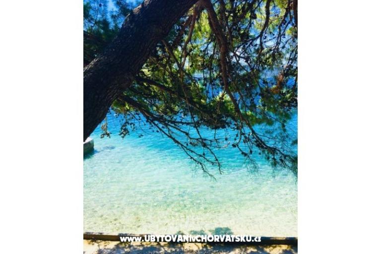 Appartementen Iko – foto 8