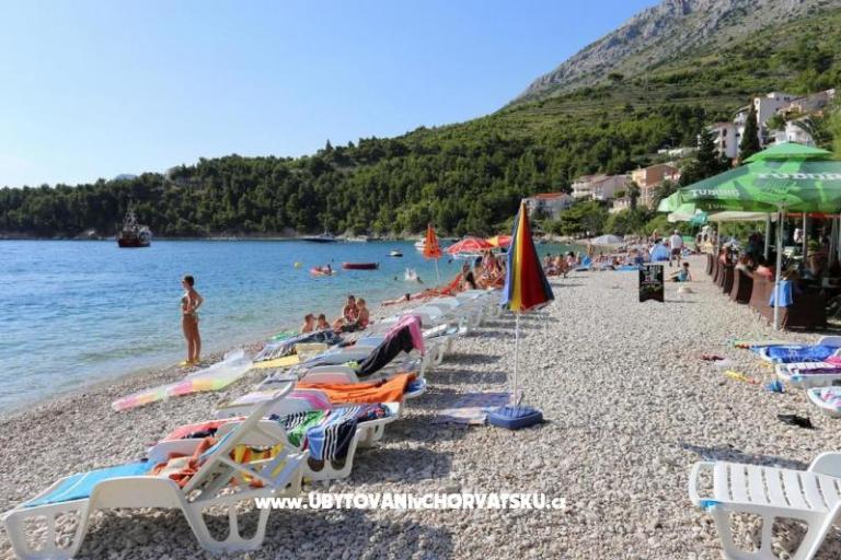 APARTMANI JELENA – foto 7
