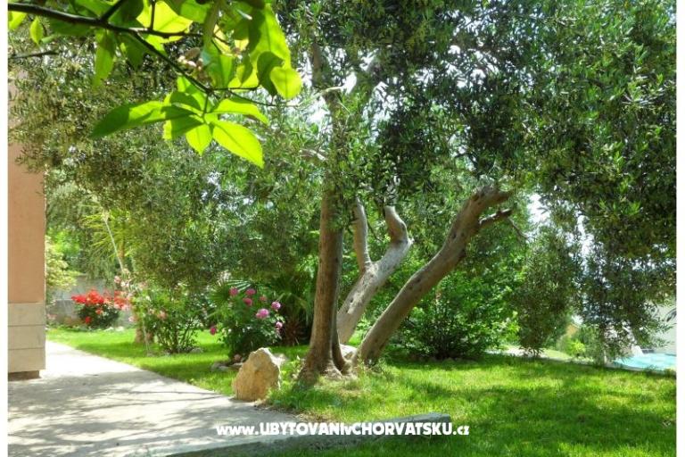 Appartementen Maja – foto 3