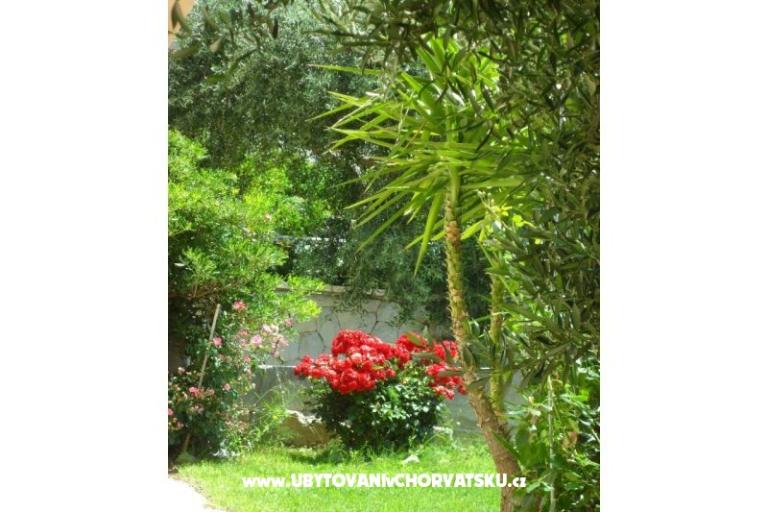 Appartementen Maja – foto 4