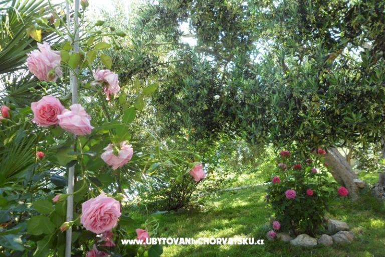 Appartementen Maja – foto 6