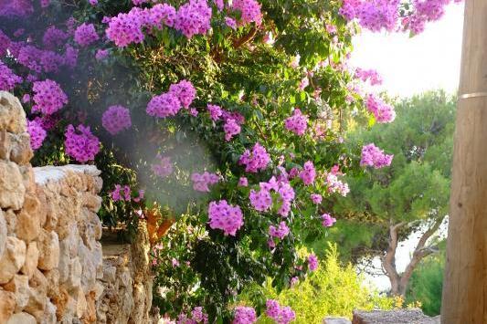 Appartementen Marina – foto 3