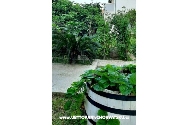 Appartementen Martić – foto 7
