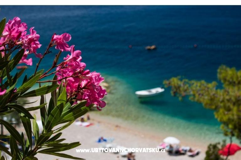 Appartementen Mira – foto 17