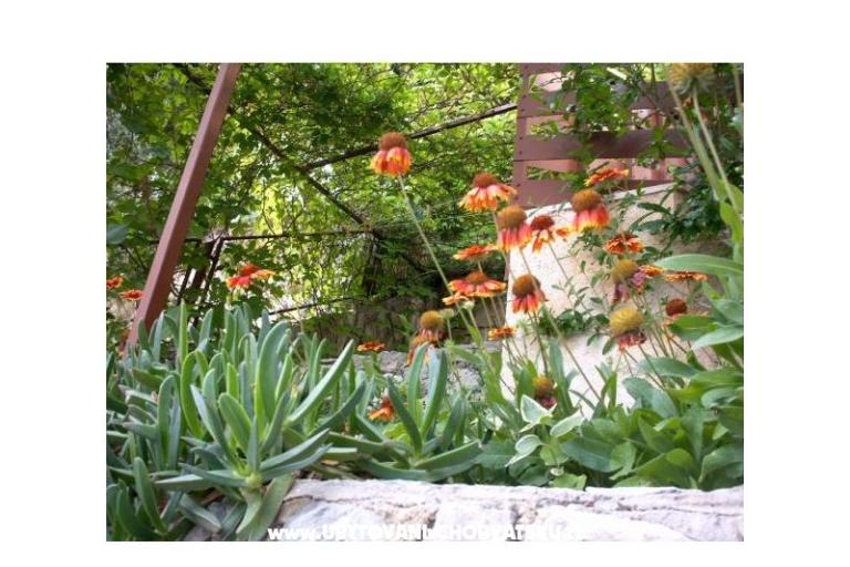 Appartementen Mirjana – foto 11
