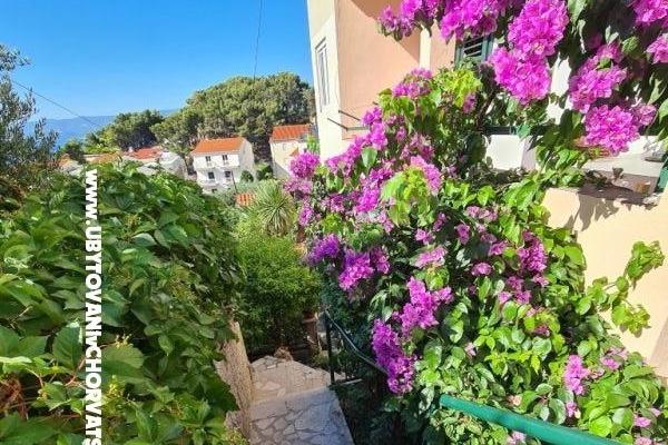 Appartementen Miro, Duće – foto 5