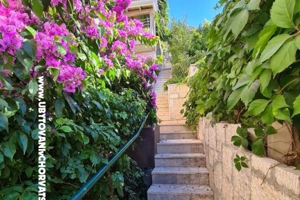 Appartementen Miro, Duće – foto 6