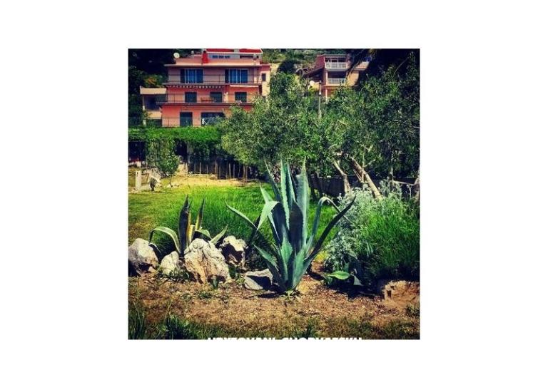 Appartementen Miro, Duće – foto 7