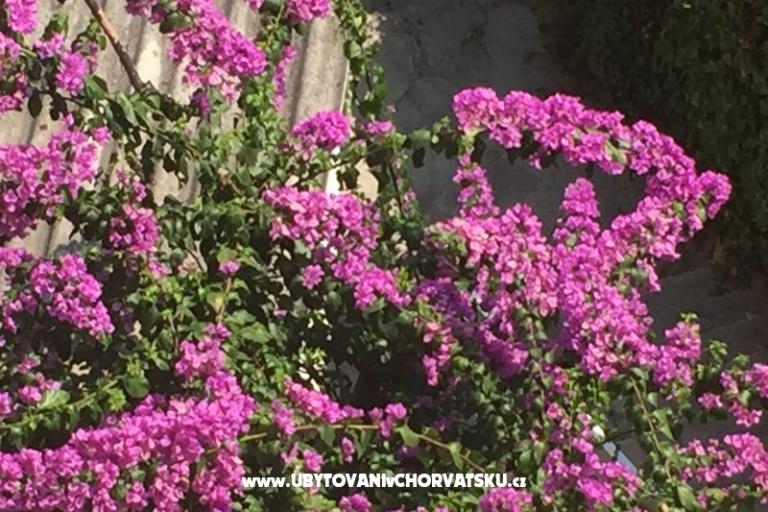 Appartementen Nejašmić – foto 17