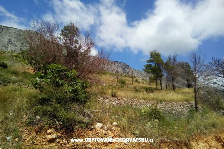 Appartementen Nikola – foto 5