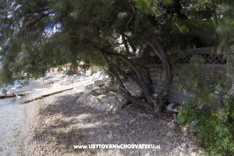 Appartementen Steffi – foto 14