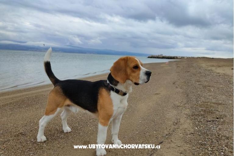 Appartementen Tomasović Omiš – foto 17