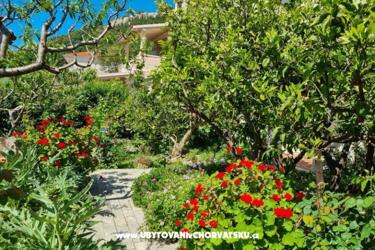 Appartementen Diridonda – foto 43
