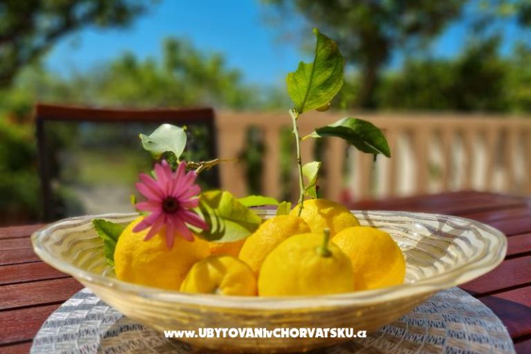 Appartementen Diridonda – foto 46