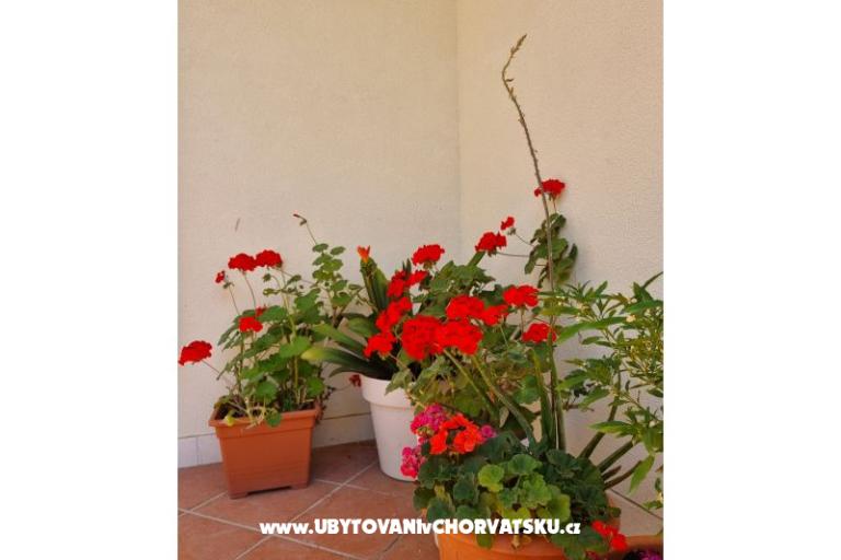 Appartementen Diridonda – foto 48