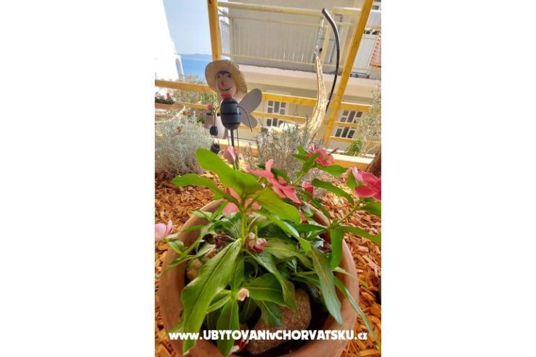 Appartementen Kai – foto 13