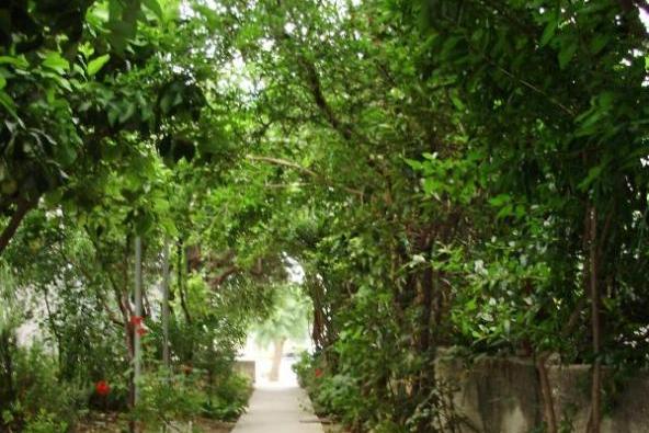 Appartementen Mare – foto 7