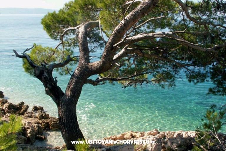 Appartementen Milka i Jozo – foto 14