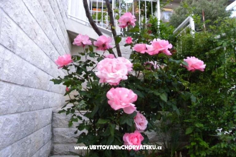 Boženka Huis – foto 6