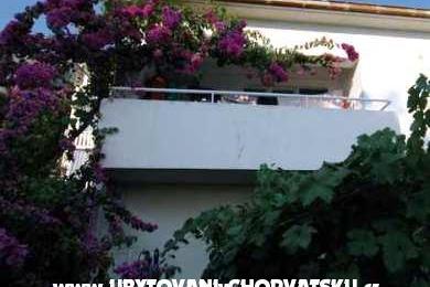  Calypso Diving Appartementen – foto 11