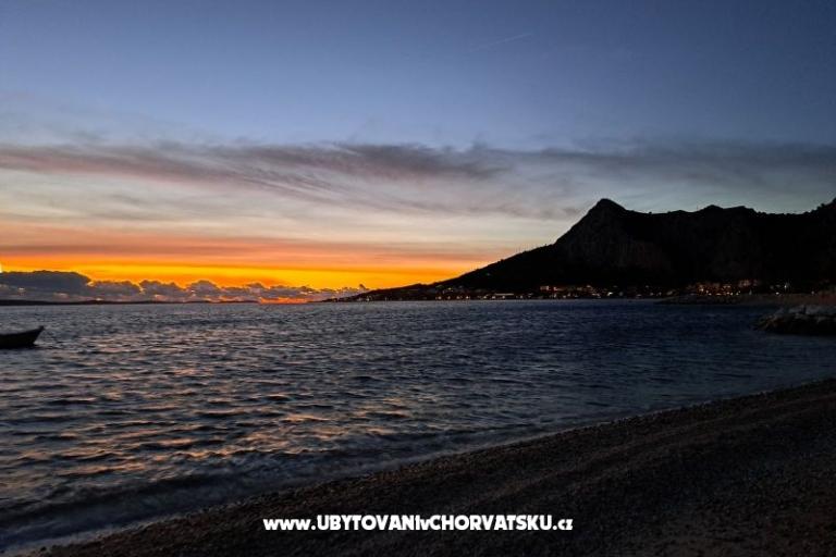  Calypso Diving Appartementen – foto 18