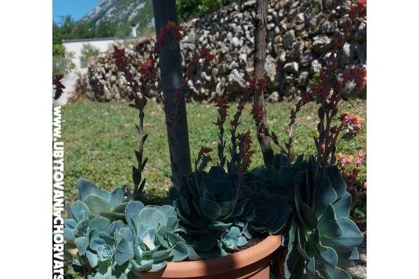 Holiday home – foto 23