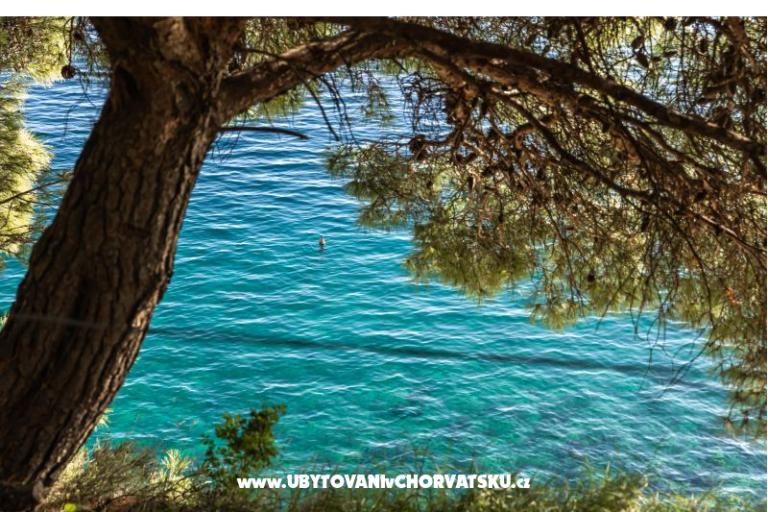 Vakantiehuis Villa Stina – foto 15