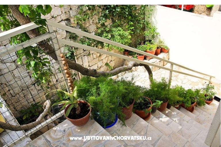 Main Square Appartement – foto 5
