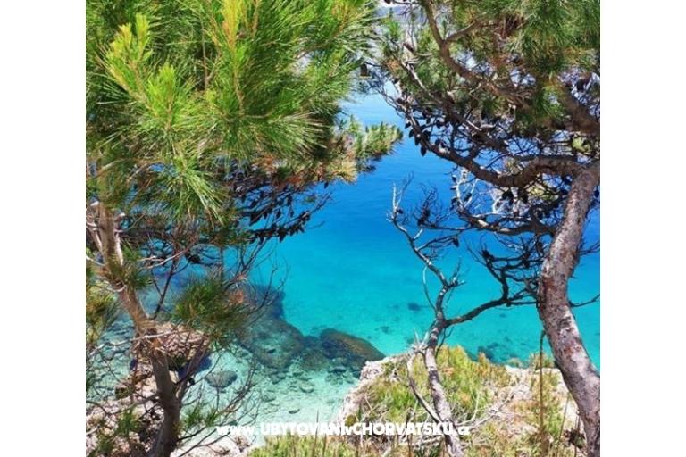 Pensioen-Restoran Skalinada – foto 15