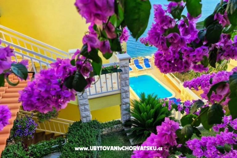 Appartementen Villa Mira – foto 3