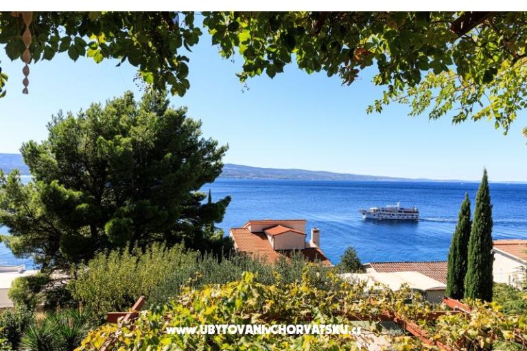 Villa Boris – foto 11