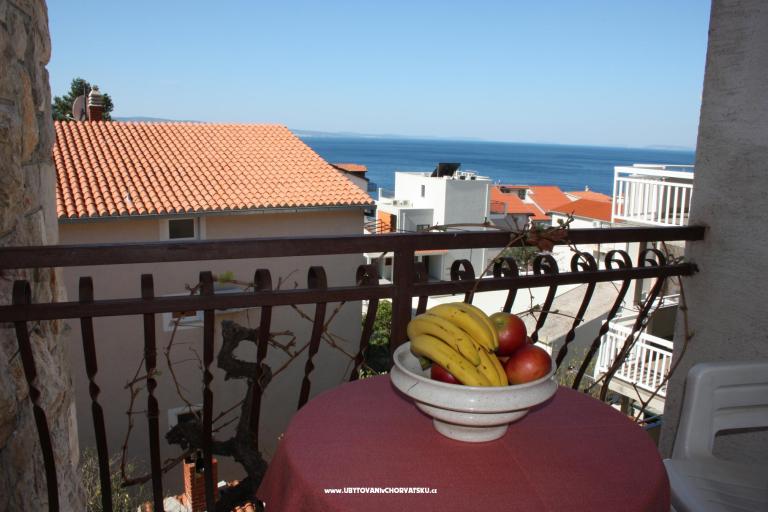 Villa Iko – foto 8