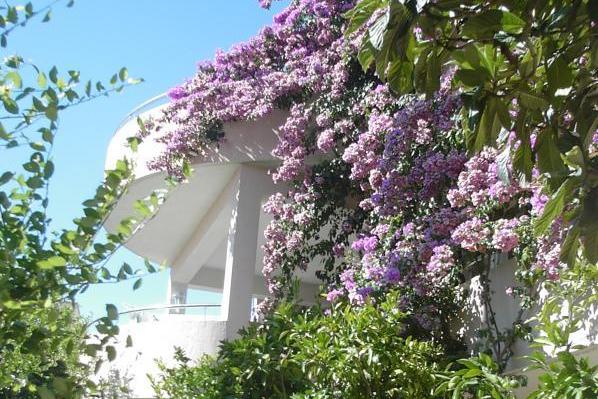 Villa Marko, Stanići – foto 3