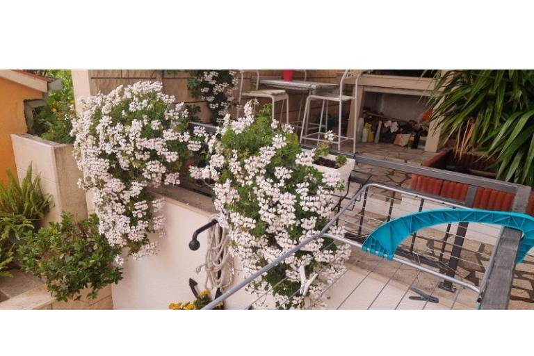 Villa Sunce – foto 16