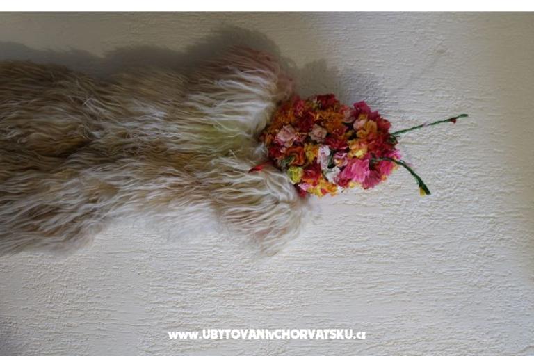 Appartement Kruna Rukavac – foto 15