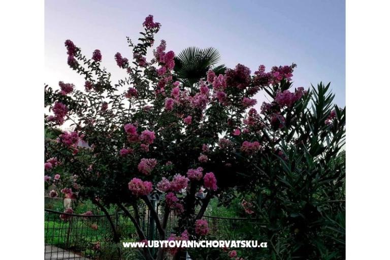 Appartement Rubin – foto 16