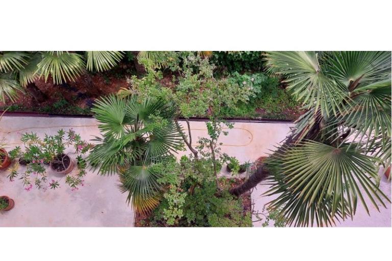 Appartementen Oleandri – foto 20