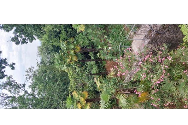 Appartementen Oleandri – foto 21