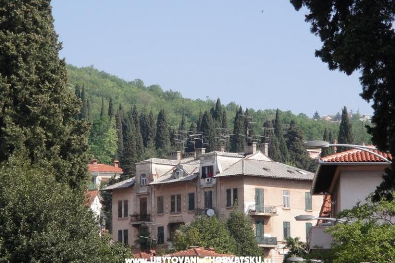 Appartement Kamelija – foto 15