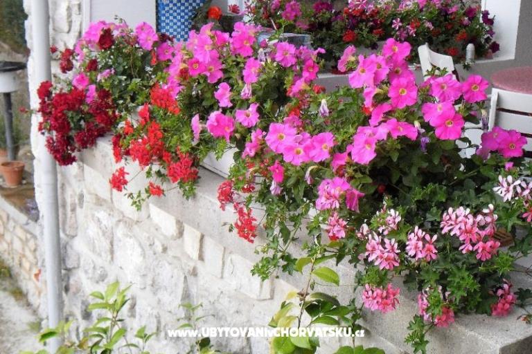 Appartementen Kestenovi dvori – foto 15