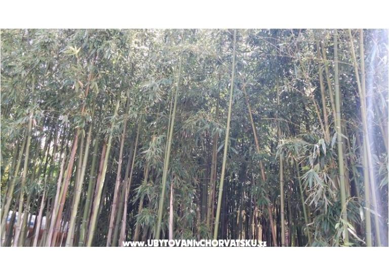 Appartementen &amp; rooms  Raspor – foto 11