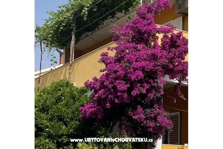 Appartementen  Ante – foto 10