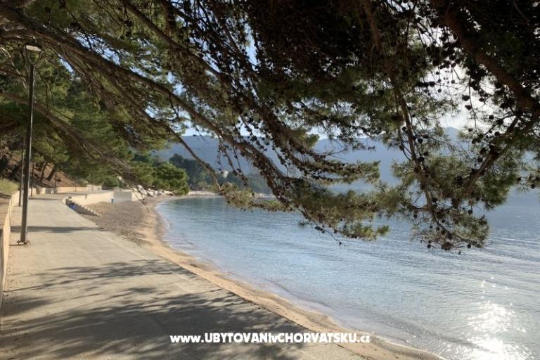 Appartementen  Ante – foto 13