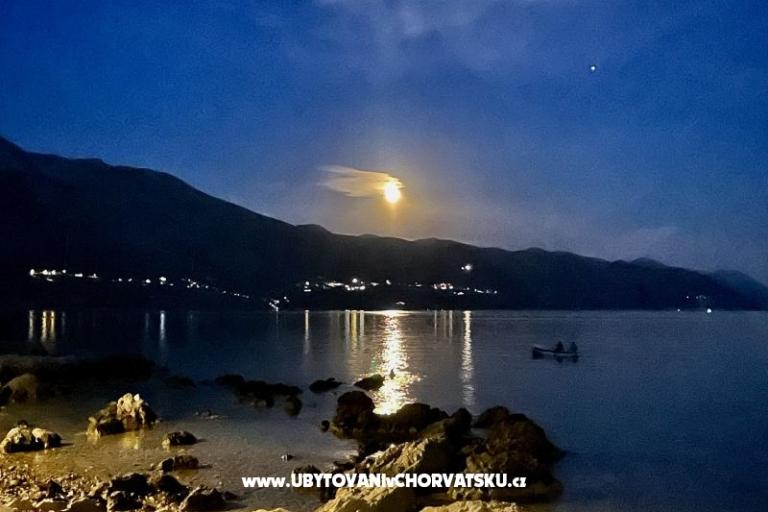 Appartementen  Ante – foto 20